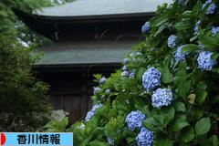 にほんブログ村 地域生活（街） 四国ブログ 香川県情報へ